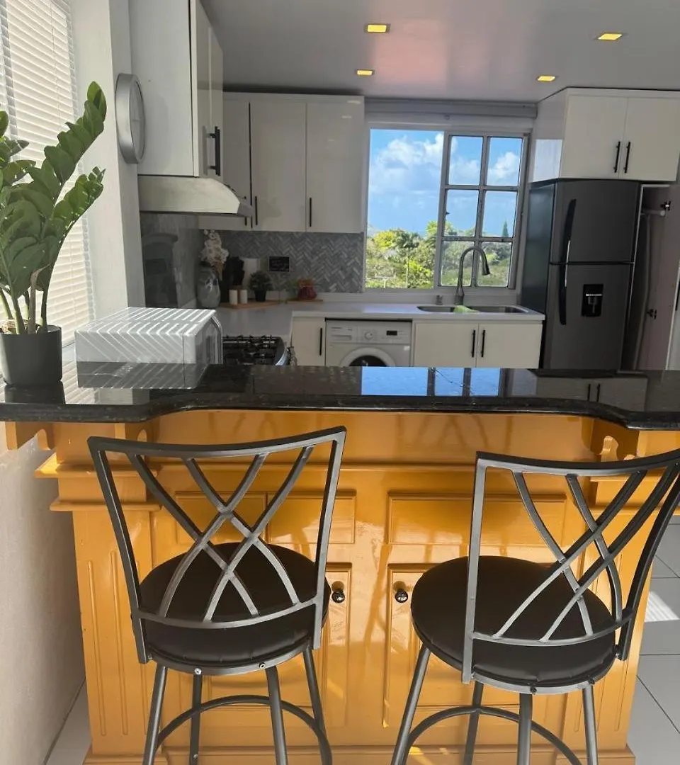 Monchy Moulin A Vent Apartment 0*,  סנט לוסיה